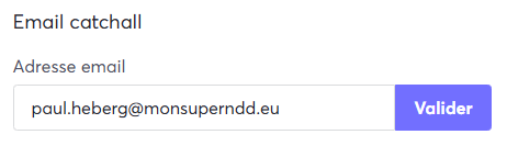 Image of the completed Email catchall field and the Confirm button