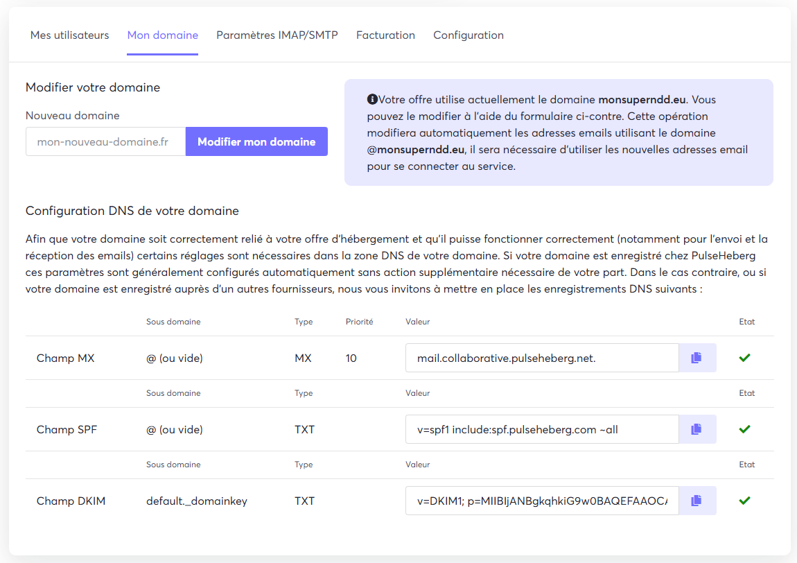 Abbildung der zu konfigurierenden DNS-Einstellungen