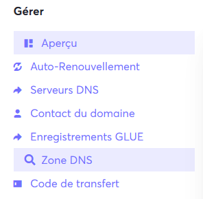 Abbildung des Tabs Zone DNS